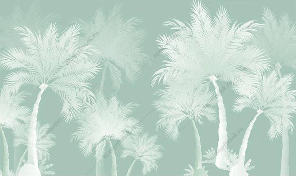 Фотообои Белая пальма